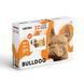 BULLDOG 3D Puzzle Cartonic