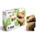 T-REX 3D Puzzle Cartonic