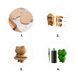 FROGGY TRIO 3D Puzzle Cartonic